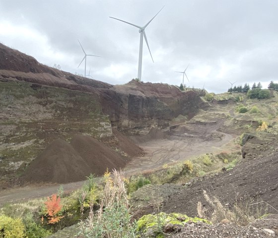 Vulkan Goldberg bei Ormont, © ©Touristik GmbH Gerolsteiner Land Vulkan Goldberg bei Ormont, © ©Touristik GmbH Gerolsteiner Land