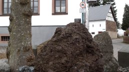 Mausefallenmuseum Neroth (1), © H. Wallenborn Mausefallenmuseum Neroth (1), © H. Wallenborn