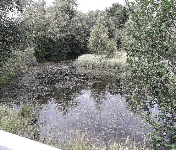 Palsen bei Mützenich Palsen bei Mützenich