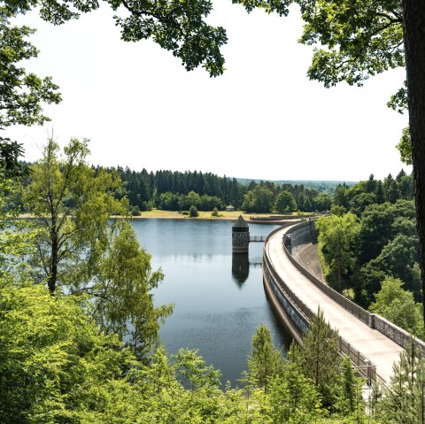Barrage de Dreilägerbach, © Eifel Tourismus GmbH, Dominik Ketz Barrage de Dreilägerbach, © Eifel Tourismus GmbH, Dominik Ketz