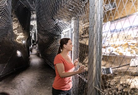 Im Ulmener Maar-Stollen, © Eifel Tourismus GmbH, AR-shapefruit AG Im Ulmener Maar-Stollen, © Eifel Tourismus GmbH, AR-shapefruit AG