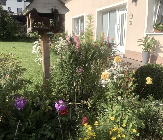 Herzlich Willkommen in Pension Jehnen Herzlich Willkommen in Pension Jehnen