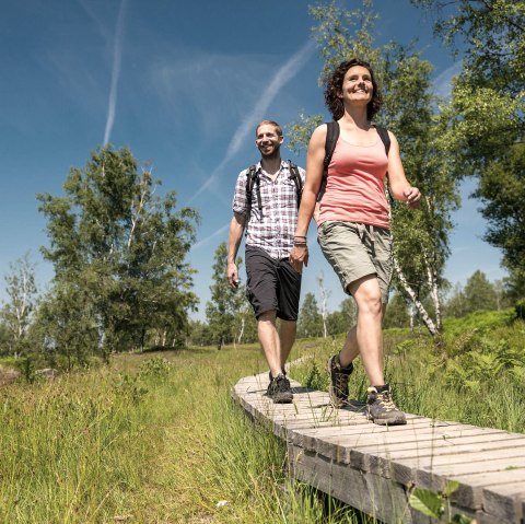 Holzstege über Moorflächen, © Eifel Tourismus, Dominik Ketz Holzstege über Moorflächen, © Eifel Tourismus, Dominik Ketz