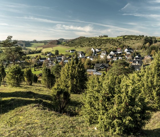 Wacholder auf dem Kalavrienberg, © Eifel Tourismus GmbH, D. Ketz Wacholder auf dem Kalavrienberg, © Eifel Tourismus GmbH, D. Ketz