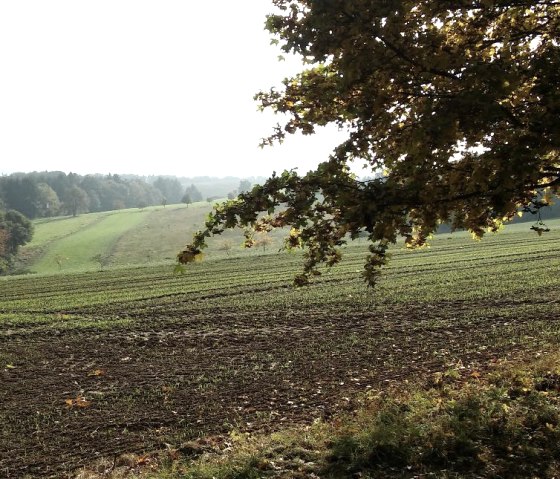 outlook Rodt, © Deutsch Luxemburgische Tourist Info outlook Rodt, © Deutsch Luxemburgische Tourist Info