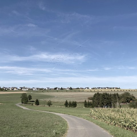 Landschaft Lutzerath-Driesch, © GesundLand Vulkaneifel Landschaft Lutzerath-Driesch, © GesundLand Vulkaneifel