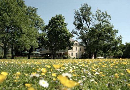 Außenansicht Nells Park Außenansicht Nells Park