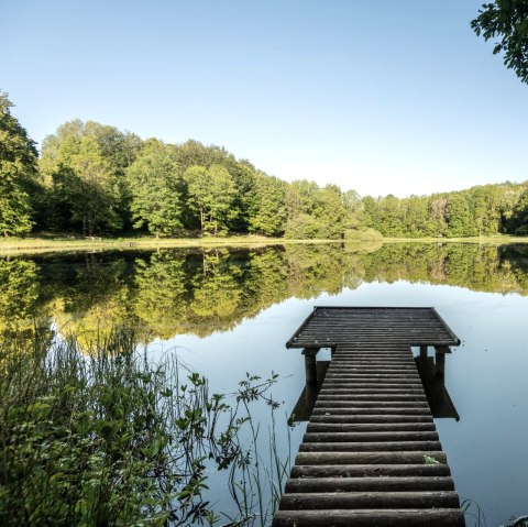 Lac de cratère Windsborn, © GesundLand Vulkaneifel/D. Ketz Lac de cratère Windsborn, © GesundLand Vulkaneifel/D. Ketz