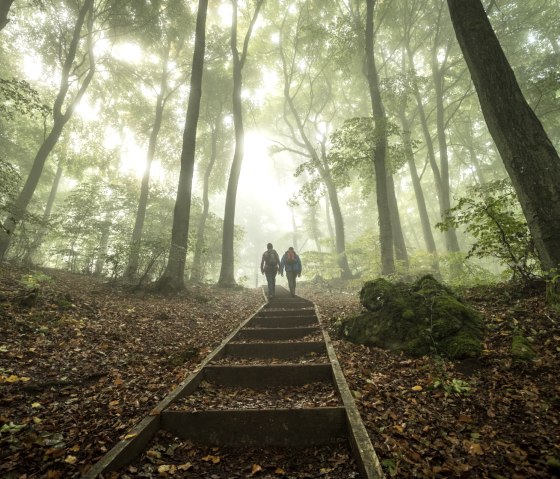 Muße-Pfad: Gerolsteiner Dolomiten Acht, Wald erleben, © Eifel Tourismus GmbH / D. Ketz Muße-Pfad: Gerolsteiner Dolomiten Acht, Wald erleben, © Eifel Tourismus GmbH / D. Ketz