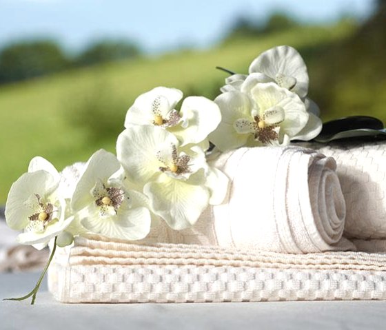 Wellnesspavillon Wellnesspavillon