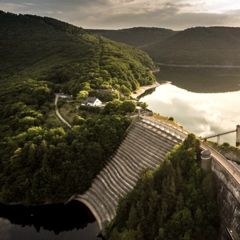 Uitzicht op de Urft Dam in het Nationaal Park Eifel, © Eifel Tourismus GmbH, D. Ketz Uitzicht op de Urft Dam in het Nationaal Park Eifel, © Eifel Tourismus GmbH, D. Ketz