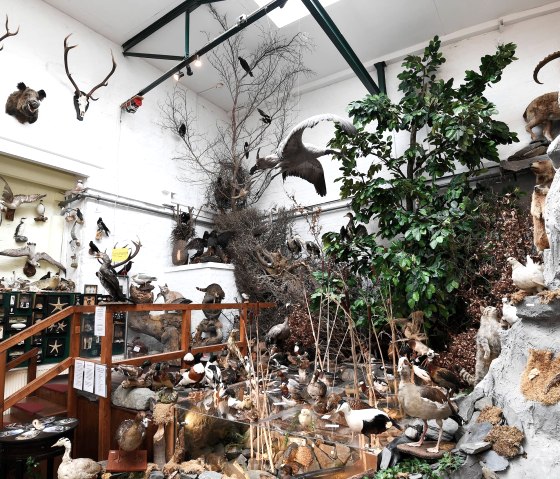 Wasserwelt, © Bernd Stuhlmann Wasserwelt, © Bernd Stuhlmann