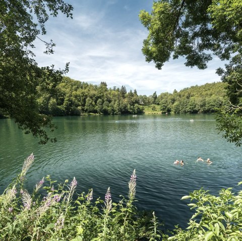 Schwimmen im Naturfreibad Gemündener Maar, © Rheinland-Pfalz Tourismus GmbH, D. Ketz Schwimmen im Naturfreibad Gemündener Maar, © Rheinland-Pfalz Tourismus GmbH, D. Ketz