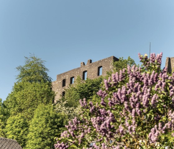 Blick auf die Burgruine Ulmen, © GesundLand Vulkaneifel/D. Ketz Blick auf die Burgruine Ulmen, © GesundLand Vulkaneifel/D. Ketz