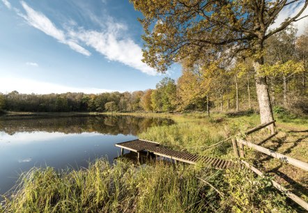 Vulkamaar Trail: Windsborn kratermeer, © Eifel Tourismus GmbH - D. Ketz Vulkamaar Trail: Windsborn kratermeer, © Eifel Tourismus GmbH - D. Ketz
