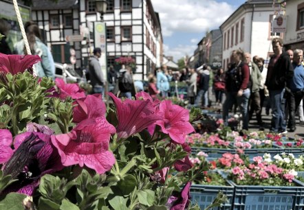 Blumen-, Kleintier- und Bauernmarkt, © Vereinskartell Kommern Blumen-, Kleintier- und Bauernmarkt, © Vereinskartell Kommern