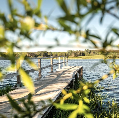 Jungferweiher Steg, © GesundLand Vulkaneifel /D. Ketz Jungferweiher Steg, © GesundLand Vulkaneifel /D. Ketz