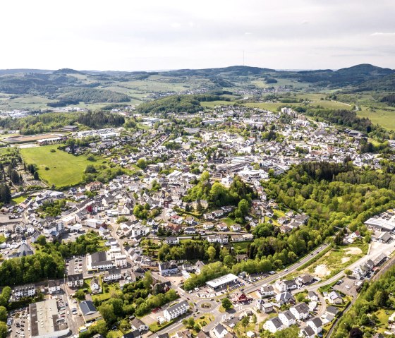 Daun, © Dominik Kretz Daun, © Dominik Kretz