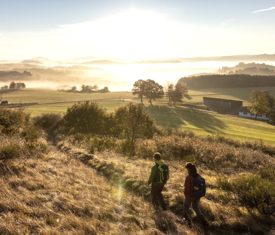 Wandelen naar de zonsopgang op de Eifelsteig, Rother Kopf, © Eifel Tourismus GmbH, Dominik Ketz Wandelen naar de zonsopgang op de Eifelsteig, Rother Kopf, © Eifel Tourismus GmbH, Dominik Ketz