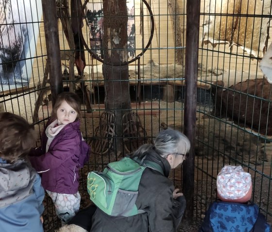 Wildfreigehe Hellenthal, © Lena Poth Wildfreigehe Hellenthal, © Lena Poth