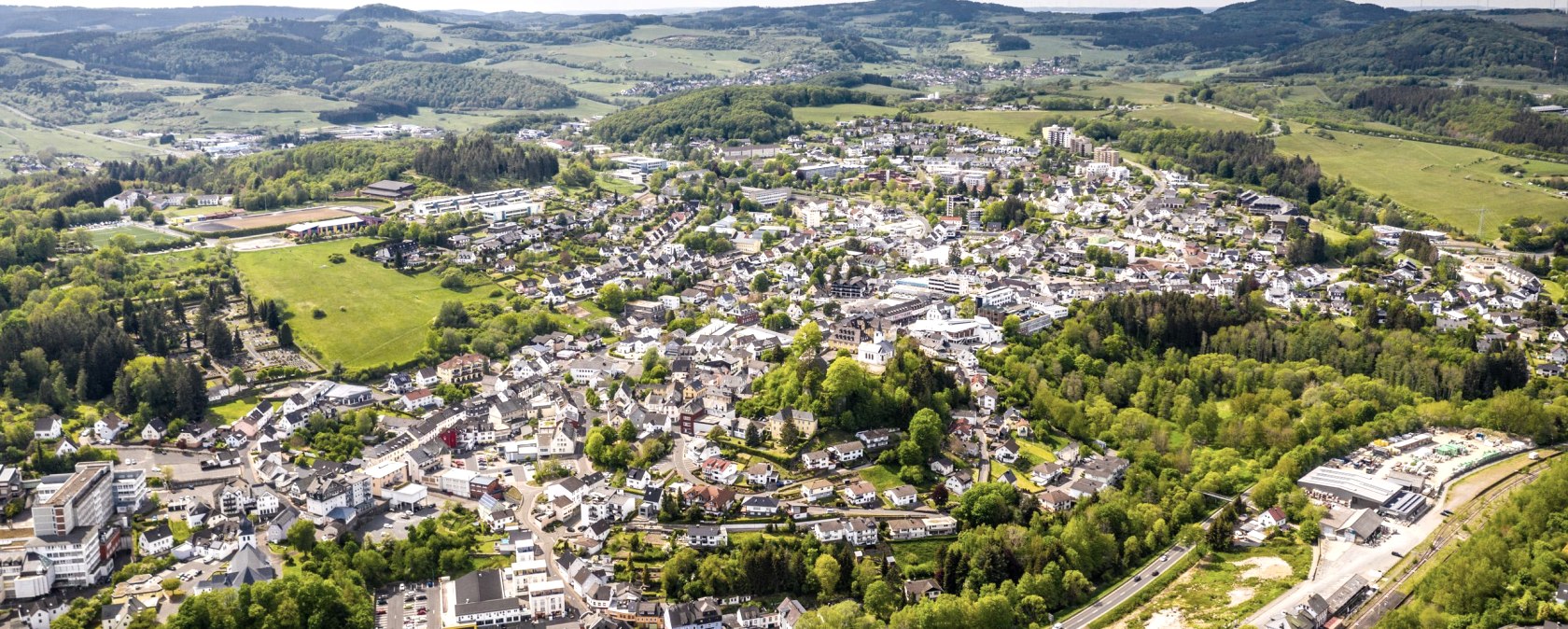 Daun, © Dominik Kretz Daun, © Dominik Kretz