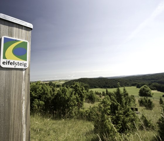 Vue du Kalvarienberg sur l'Eifel lors de la 7e étape, © Rheinland-Pfalz Tourismus/D. Ketz Vue du Kalvarienberg sur l'Eifel lors de la 7e étape, © Rheinland-Pfalz Tourismus/D. Ketz