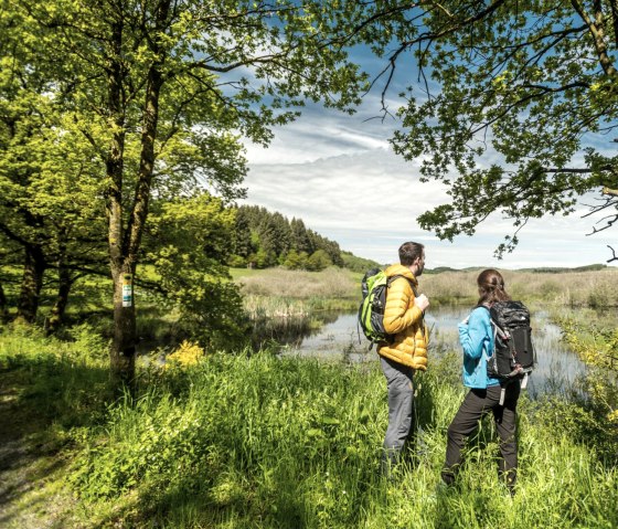 Naturschutzgebiet Mürmes am Vulcano-Pfad, © Eifel Tourismus GmbH, D. Ketz Naturschutzgebiet Mürmes am Vulcano-Pfad, © Eifel Tourismus GmbH, D. Ketz