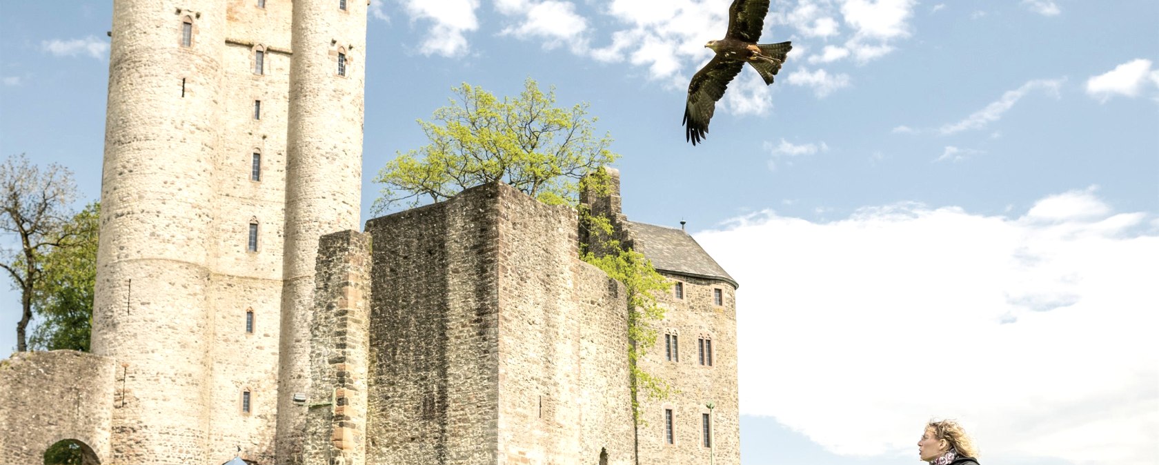 Adler & Wolfspark Kasselburg, Pelm, © Eifel Tourismus GmbH, Dominik Ketz Adler & Wolfspark Kasselburg, Pelm, © Eifel Tourismus GmbH, Dominik Ketz