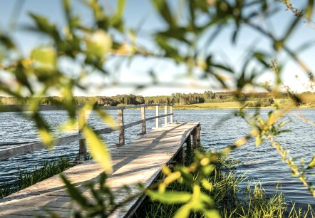 Jungferweiher Steg, © GesundLand Vulkaneifel /D. Ketz Jungferweiher Steg, © GesundLand Vulkaneifel /D. Ketz