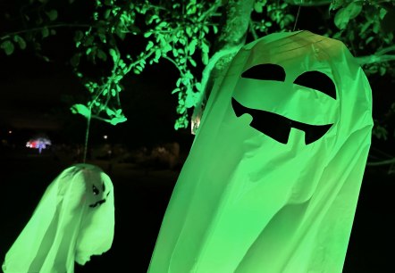 Gruselgespenster, © Seepark Zülpich Gruselgespenster, © Seepark Zülpich