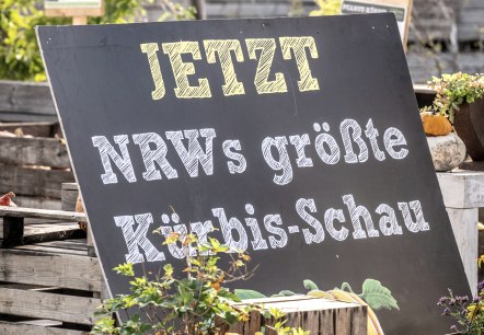 Werbeschild Kürbisschau, © Eifel Tourismus GmbH - Dominik Ketz Werbeschild Kürbisschau, © Eifel Tourismus GmbH - Dominik Ketz