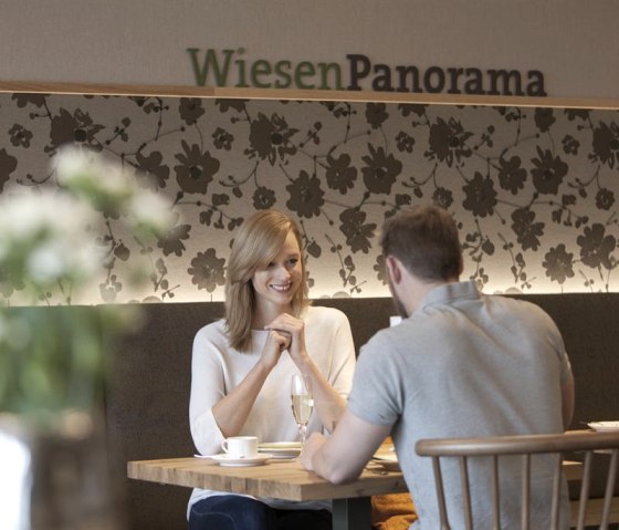 Wiesen Panorama Wiesen Panorama