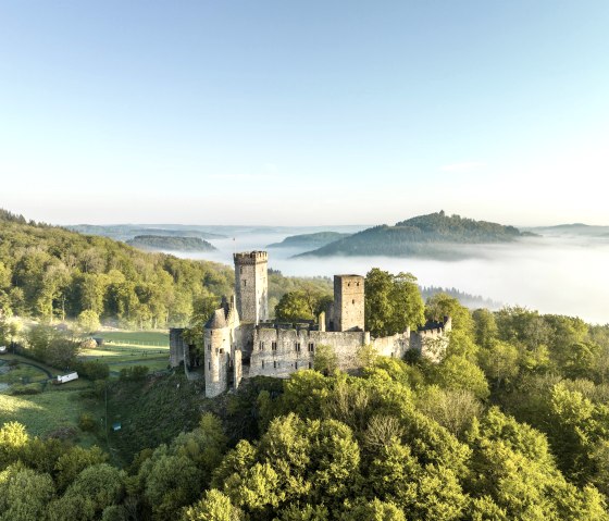 Kasselburg mit Adler und Wolfspark, © Eifel Tourismus GmbH, Dominik Ketz Kasselburg mit Adler und Wolfspark, © Eifel Tourismus GmbH, Dominik Ketz