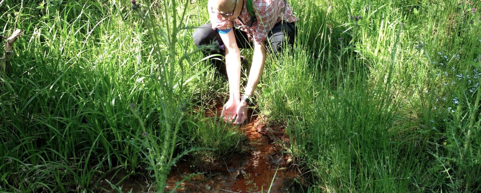 Kolverather Drees, &copy; GesundLand Vulkaneifel GmbH
