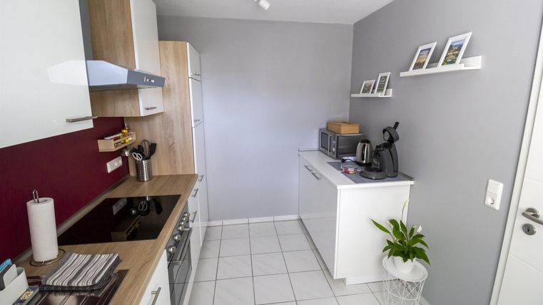 A modern kitchen with bright cabinets and a cooktop. On the countertop, there are some appliances, and a plant adds a fresh touch.