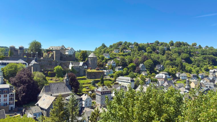 A picturesque village with historic buildings and lush greenery. In the background, a castle can be seen on a hill.