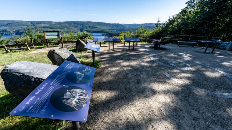 Ein Aussichtspunkt mit Informationstafeln und Blick auf das Tal. Die Umgebung ist grün mit Felsen und einem klaren Himmel.
