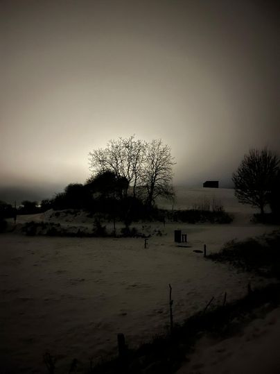 A snow-covered field under a cloudy sky. Silhouettes of trees are visible in the background.