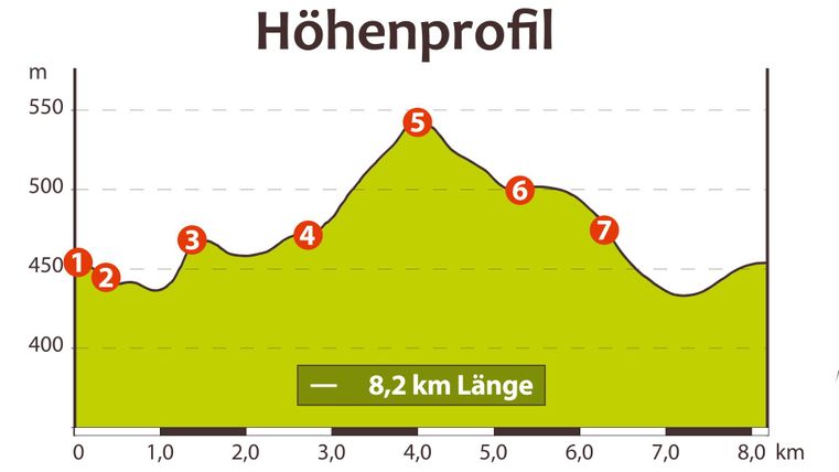 Ein Höhenprofil mit einer Strecke von 8,2 km. Die Grafik zeigt verschiedene Höhenlagen auf einer kurvenreichen Linie.