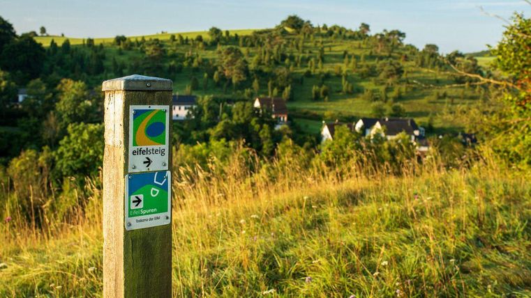 Een aanwijzing van de Eifelsteig staat op een wandelpad. Op de achtergrond zijn zachte heuvels en enkele huizen zichtbaar.