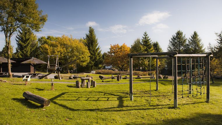 Ein Spielplatz mit Klettergerüst und Schaukeln auf einer grünen Wiese. Im Hintergrund sieht man Bäume und einen klaren Himmel.