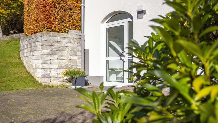A house entrance with a clear glass door. In the background, colorful bushes and a paved driveway are visible.
