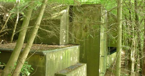 Ein verlassener Bunker umgeben von Bäumen. Die Struktur ist teilweise mit Pflanzen bewachsen.