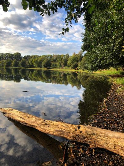 A tranquil lake with reflective water and a picturesque shoreline. Green trees surround the lake and the sky is partly cloudy.