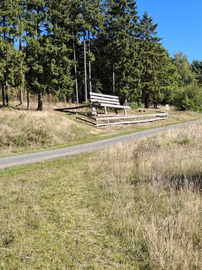 Ein Weg führt durch eine grüne Wiese mit hohem Gras und Bäumen im Hintergrund. Auf der rechten Seite steht eine Holzbank unter blauem Himmel.
