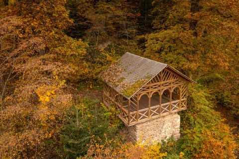 Een gezellig houten huisje omringd door kleurrijke herfstbladeren. De warme kleuren van de natuur creëren een rustige sfeer.