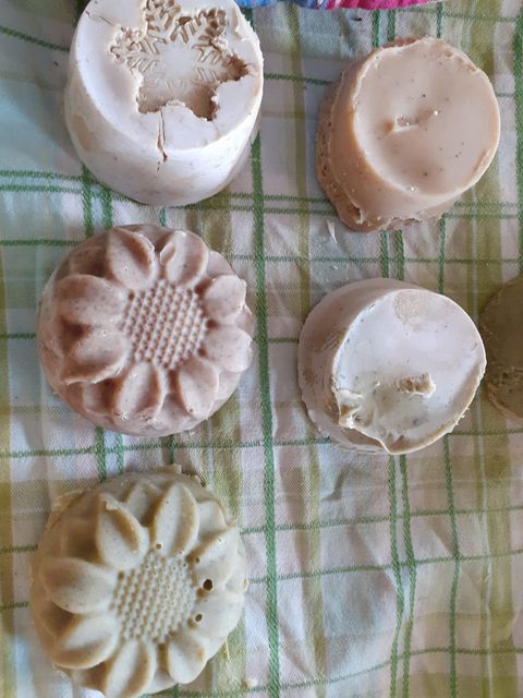 Een vrouw staat in het bos en houdt een plant in haar hand. Ze draagt een kleurrijke top en heeft een zonnebril op.