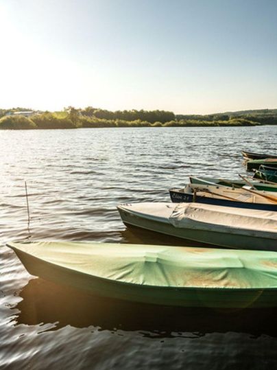 Een rustige wateroppervlakte met verschillende kleine boten. Op de achtergrond zijn groene oeverbomen en een heldere lucht te zien.