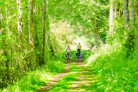 Two people are riding bicycles on a green path through a forest. The surroundings are bright and sunny, surrounded by trees and lush grass.