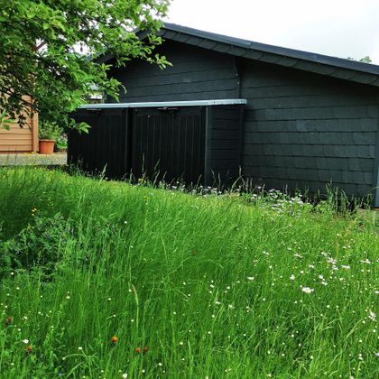 Een zwart tuinhuis staat in het groen. De tuin is begroeid met hoge grassen en enkele bloemen.